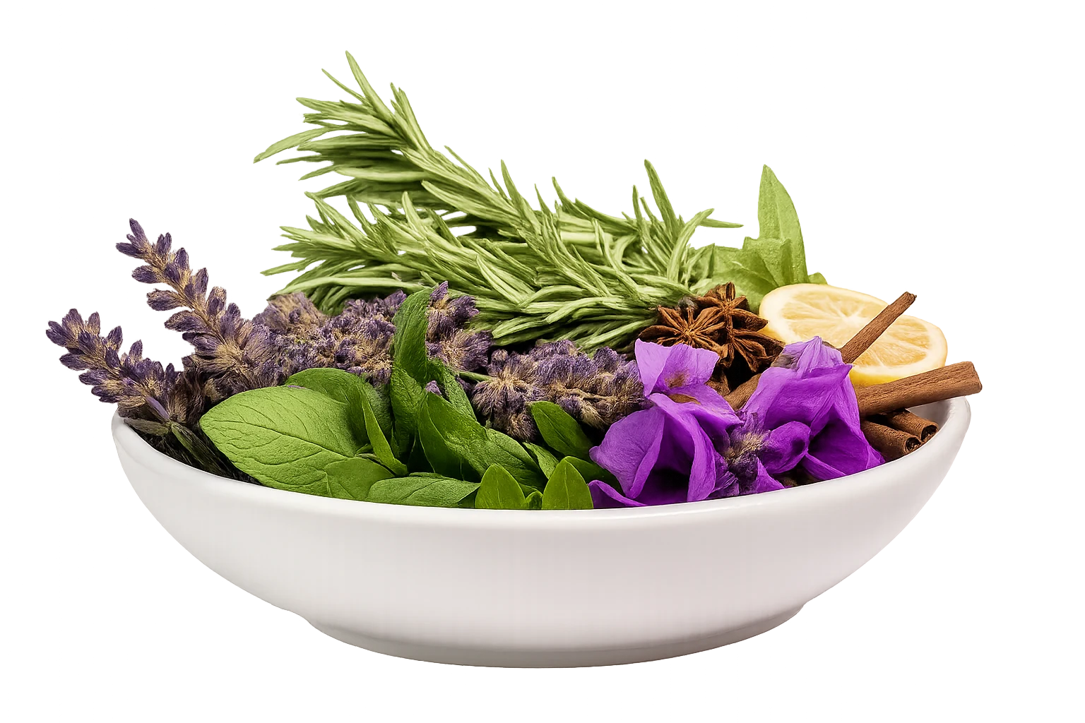 Herbs sunray