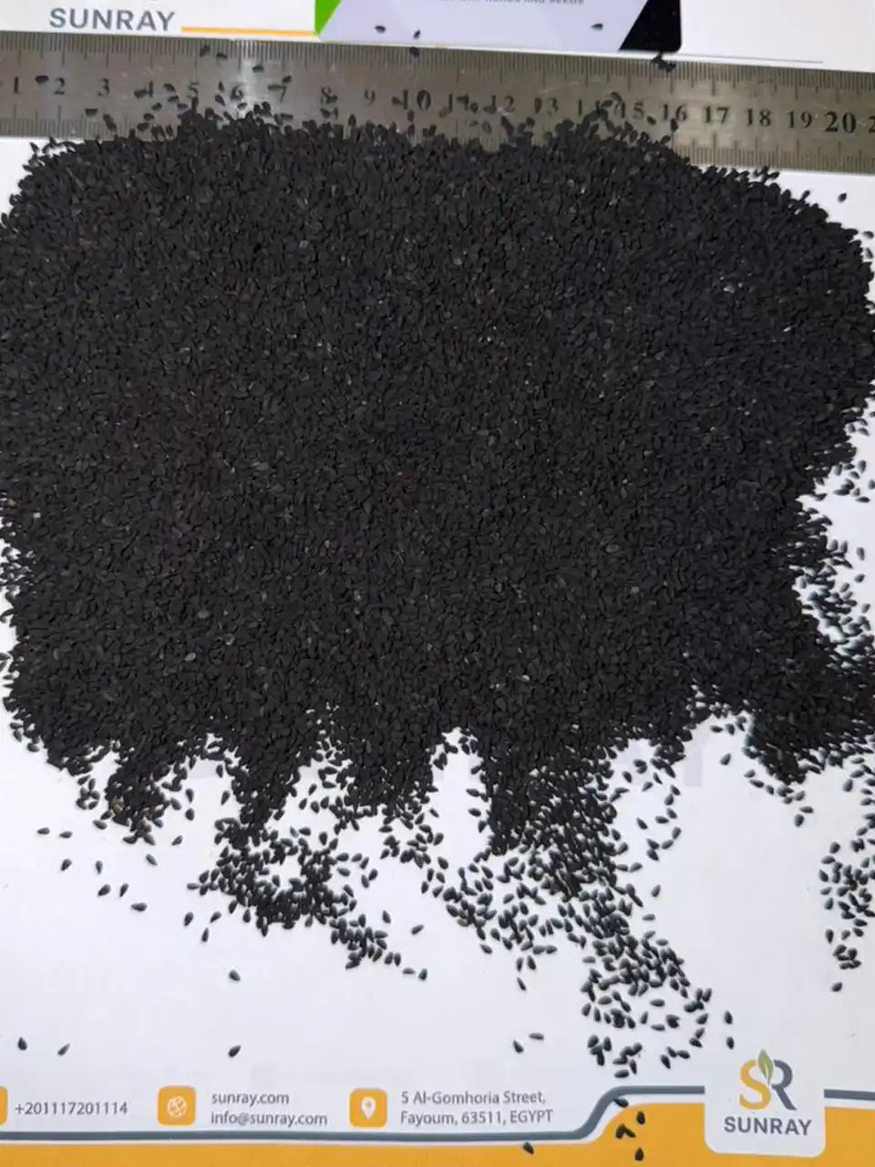 Black seed